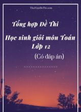 Tổng hợp Đề thi học sinh giỏi môn Toán Lớp 12 (Có đáp án)